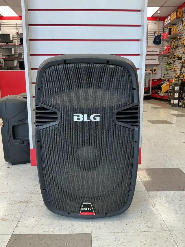 Enceinte de sonorisation BLG Professionnel