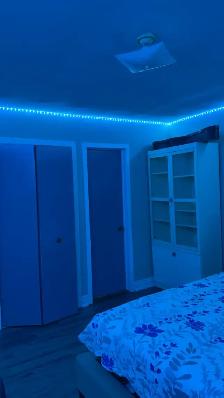 Master bedroom for rent, main floor, GIRLS ONLY in Malton - Photo 5