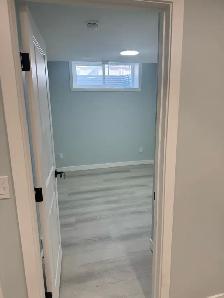 2 Bedroom Basement for Rent in Cornerstone - Photo 3