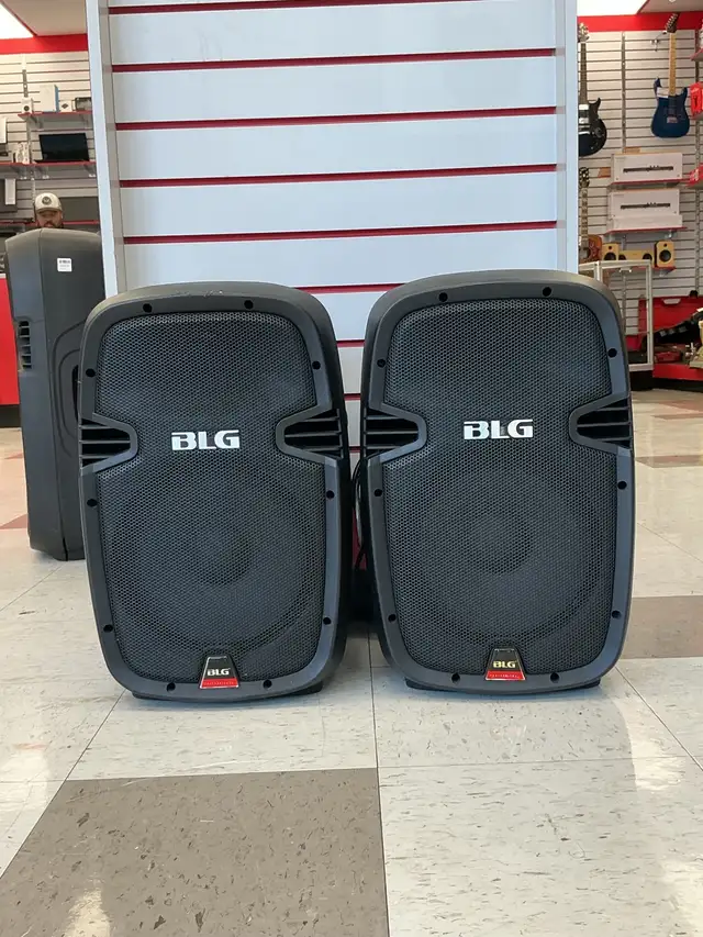 Haut parleur de sonorisation BLG