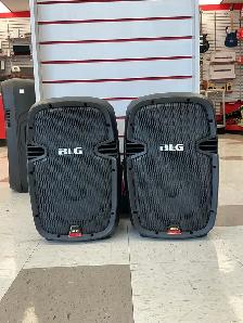 Haut parleur de sonorisation BLG