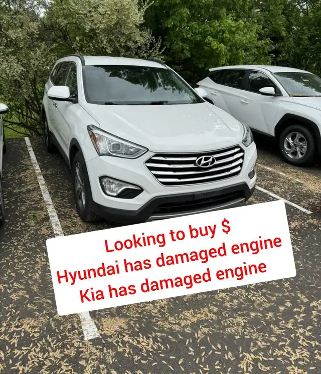 Wanted : Hyundai and Kia ( has damaged engine )