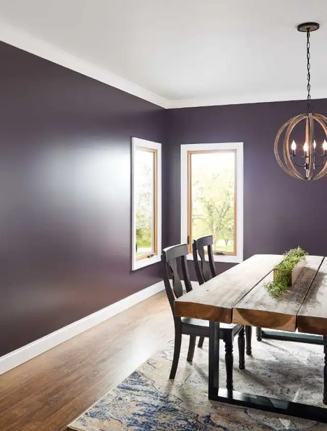 professional residential commercial painters