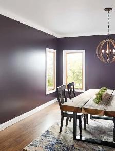 professional residential commercial painters