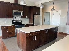 Executive 2 bedroom, 2 bathroom apartment for rent - Photo 2
