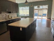 Executive 2 bedroom, 2 bathroom apartment for rent - Photo 3