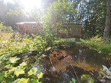 Ymir Cabin For Rent - Photo 9
