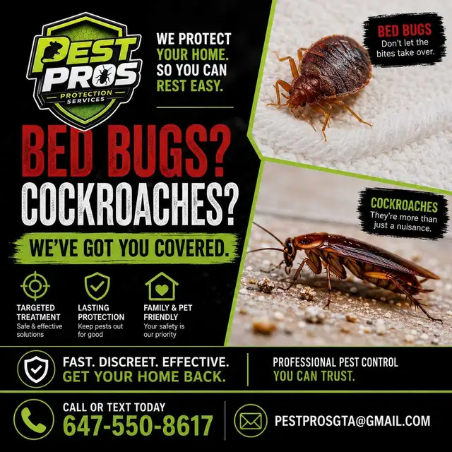 Bed Bug and Cockroach Exterminator