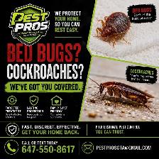 Bed Bug and Cockroach Exterminator