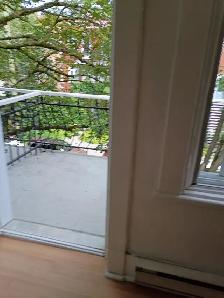 Beau appartement sur le plateau mont-royal - Photo 2