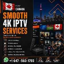 Super Quality4K TV Subcsriprtion