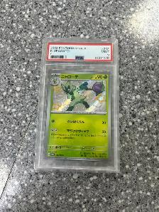 Pokémon 202/190 Floragato PSA 9