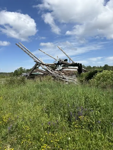 Free barn wood - Rockford, ON