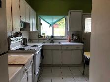 1 Bedroom Apartment, Self-contained, Dundas / Ossington / Queen - Photo 3