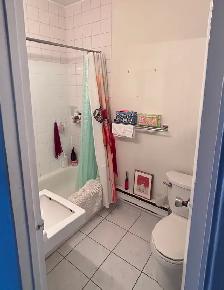 1 Bedroom Apartment, Self-contained, Dundas / Ossington / Queen - Photo 5