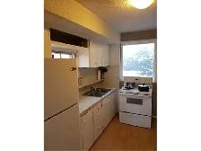 House with oversized Garage, 4 Bed, Big lot, extra parking - Photo 2