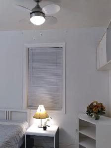Alliston-Room For Rent