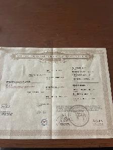 Registered Stud - Photo 3
