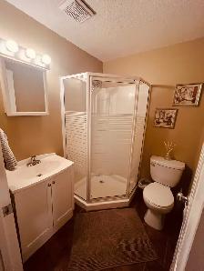 FULLY FURNISHED BASEMENT SUITE - Photo 7