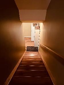 FULLY FURNISHED BASEMENT SUITE - Photo 8