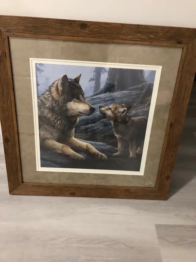 wolf picture
