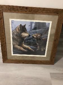 wolf picture