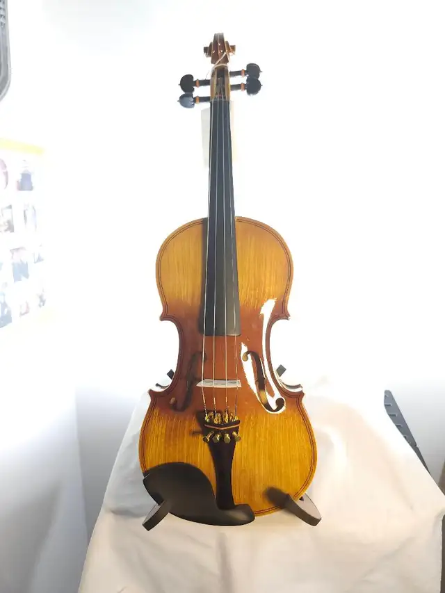 SHARNEL CROWN ADVANCED VIOLIN