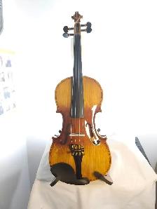 SHARNEL CROWN ADVANCED VIOLIN