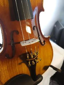 SHARNEL CROWN ADVANCED VIOLIN - Photo 3