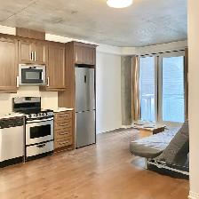 Apartment for rent near Concordia University in downtown - Photo 7