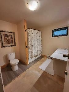 Charming home for sale in New Denver, BC - Photo 6