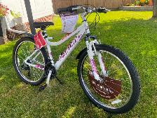 Brand new Women's Schwinn Ranger Mountain Bike with Fenders - Photo 2