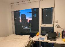 Looking for a female roommate in safe Yaletown (Sep 1/Sep 15)