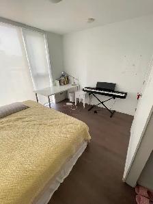 Looking for a female roommate in safe Yaletown (Sep 1/Sep 15) - Photo 3