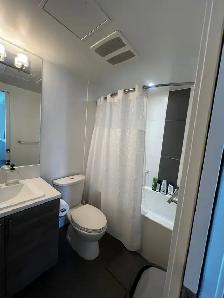 Looking for a female roommate in safe Yaletown (Sep 1/Sep 15) - Photo 9