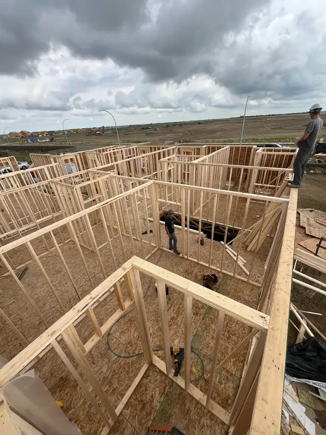 framer wanted