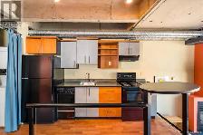 Bright, High ceiling Victoria Downtown Studio Apartment for rent - Photo 3