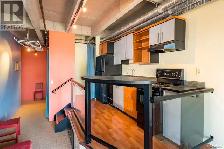 Bright, High ceiling Victoria Downtown Studio Apartment for rent - Photo 4