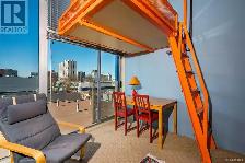 Bright, High ceiling Victoria Downtown Studio Apartment for rent - Photo 6