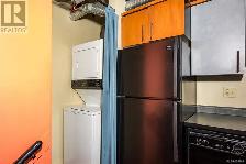 Bright, High ceiling Victoria Downtown Studio Apartment for rent - Photo 8
