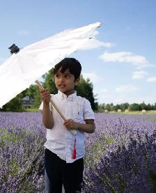 photographer - Photo 5