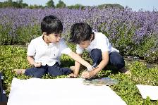 photographer - Photo 6