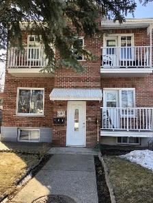 4 1/2 in Saint-Laurent