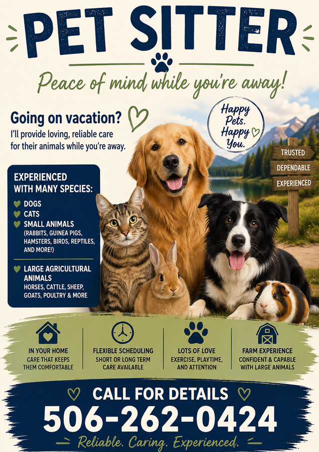 Pet Sitting