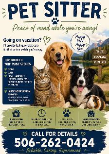Pet Sitting