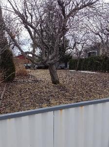 2 Terrains 600 000$  9000000$ Field - Photo 8