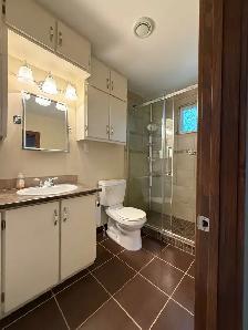 Port Blandford, NL,  2 bedroom Bungalow - Photo 3