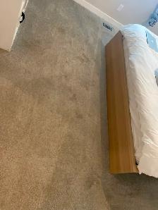 Calgary Carpet Cleaning — Homes, Condos & Apartments - Photo 2