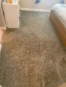 Calgary Carpet Cleaning — Homes, Condos & Apartments - Photo 3