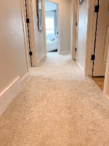 Calgary Carpet Cleaning — Homes, Condos & Apartments - Photo 4